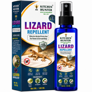 lizard 3